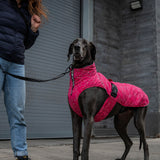 Canada Pooch The Expedition Dog Coat 2.0