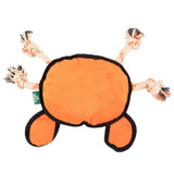Crabe dur et dur Beco