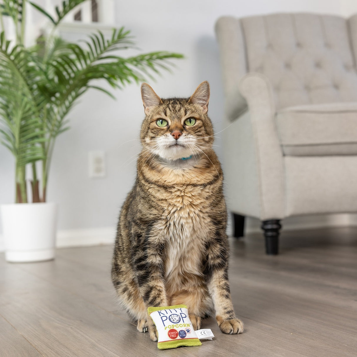 Jouet pour chat Kittybelles Kitty Pop