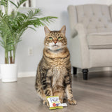 Jouet pour chat Kittybelles Kitty Pop
