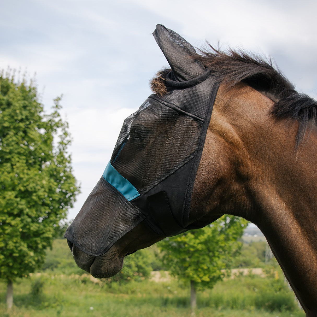 Shedrow Fly Mask W- Ears & Nose Cover