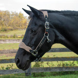 Shedrow Breakaway Halter W - Polaire