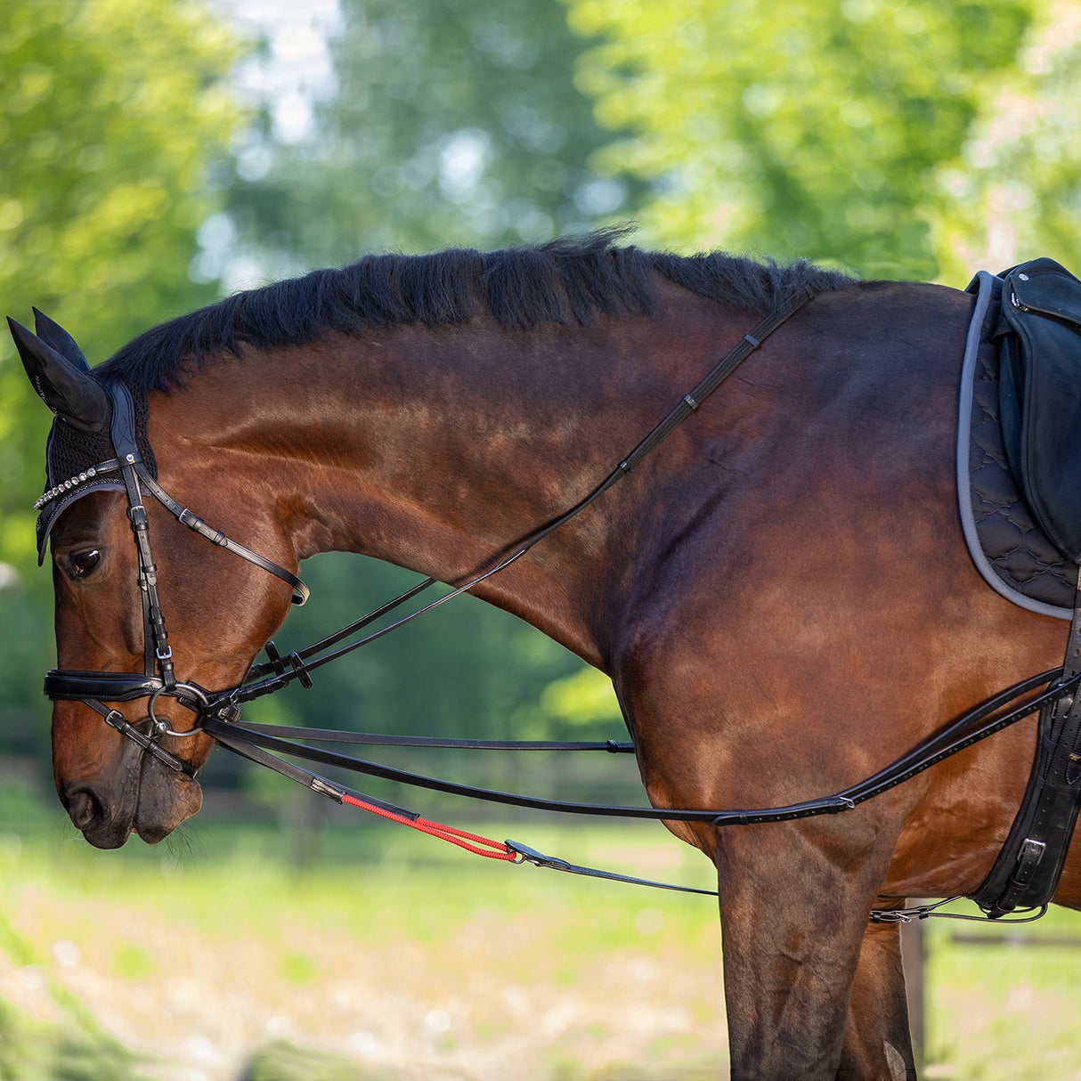 Waldhausen W-Train Draw Reins
