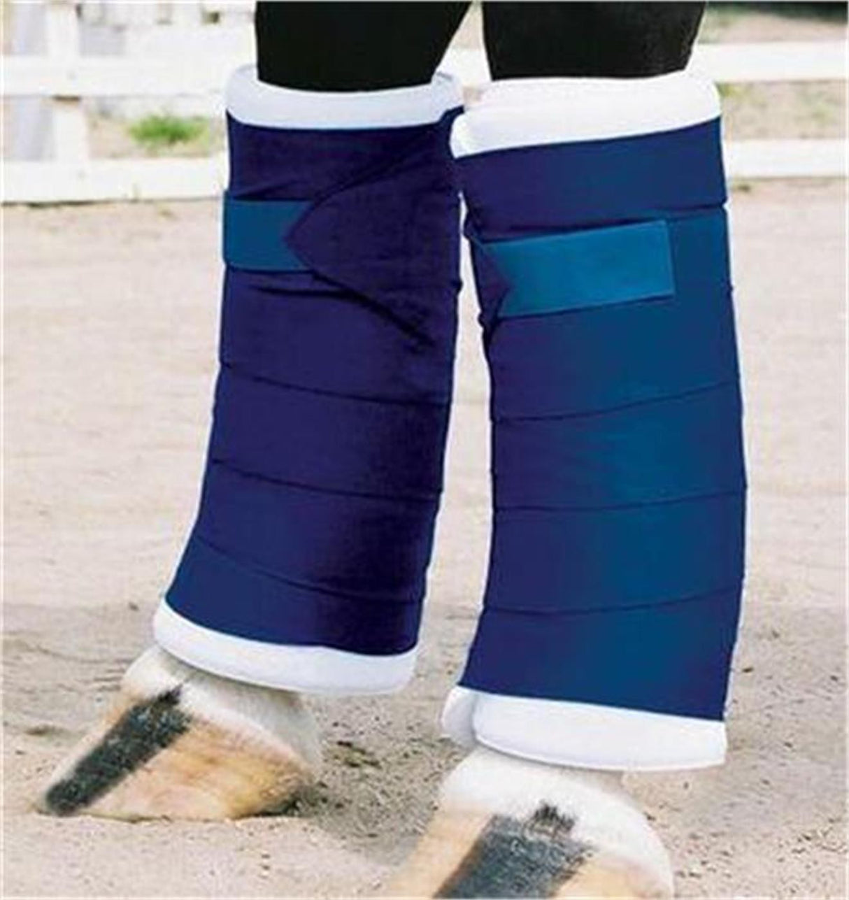 Shedrow Standing Bandages