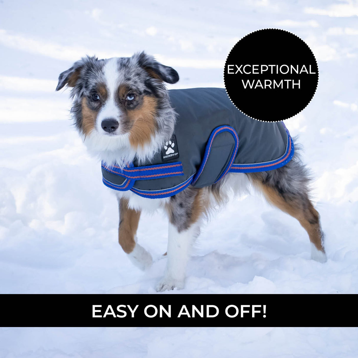 Manteau pour chien Shedrow K9 Tundra