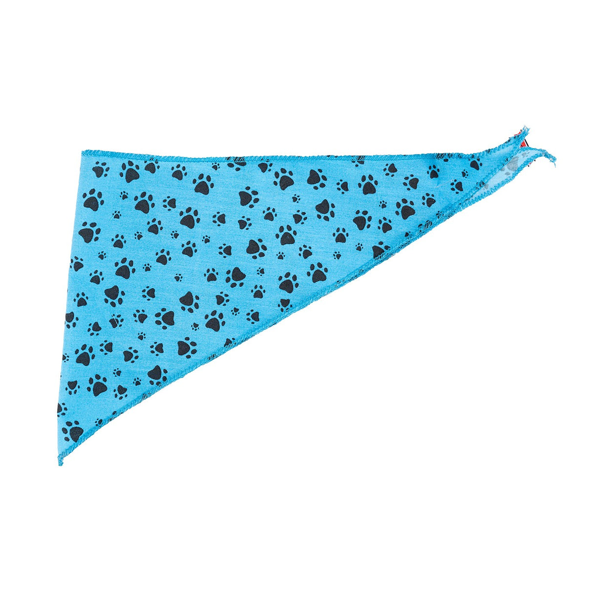 Bandanas République Triangle Bandana