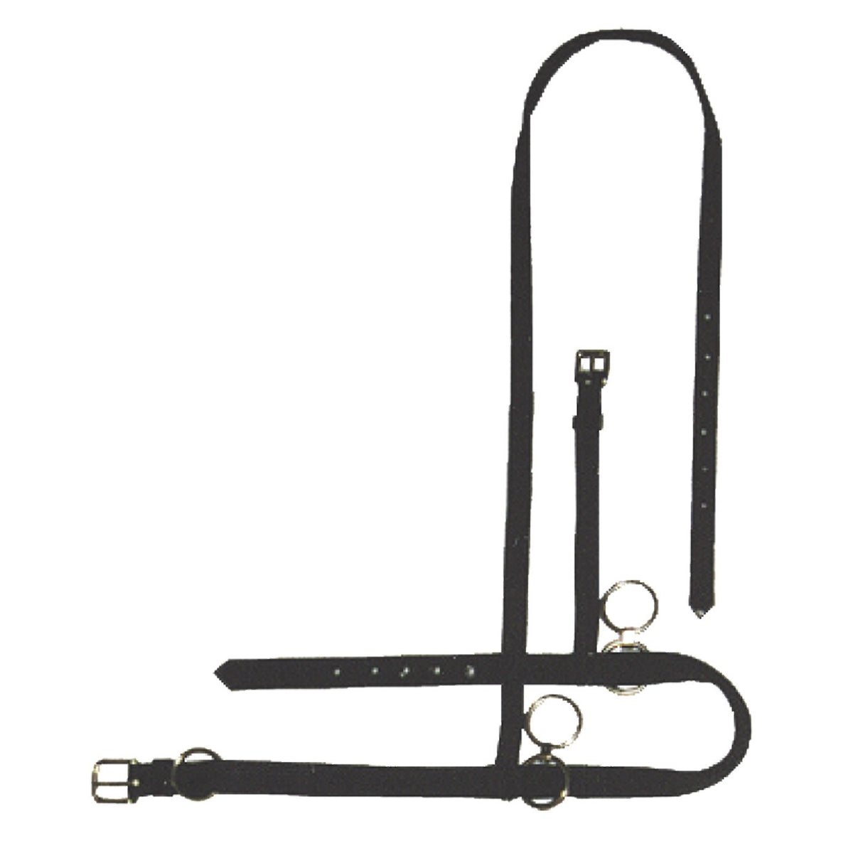 Licol double anneau Gaitmaster