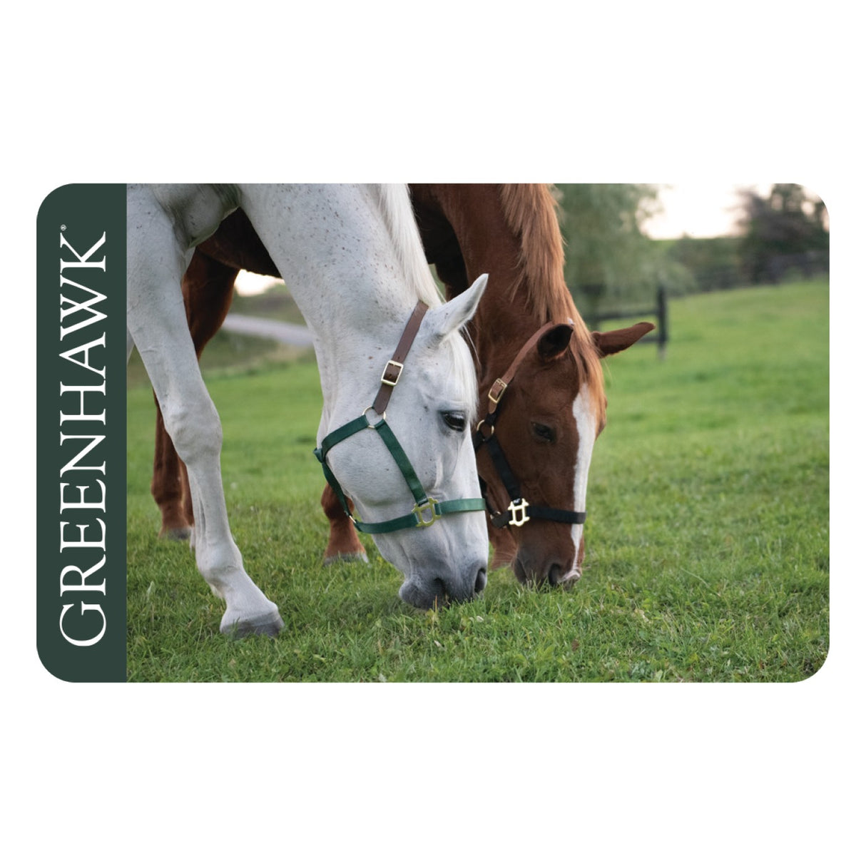 Carte-cadeau Greenhawk