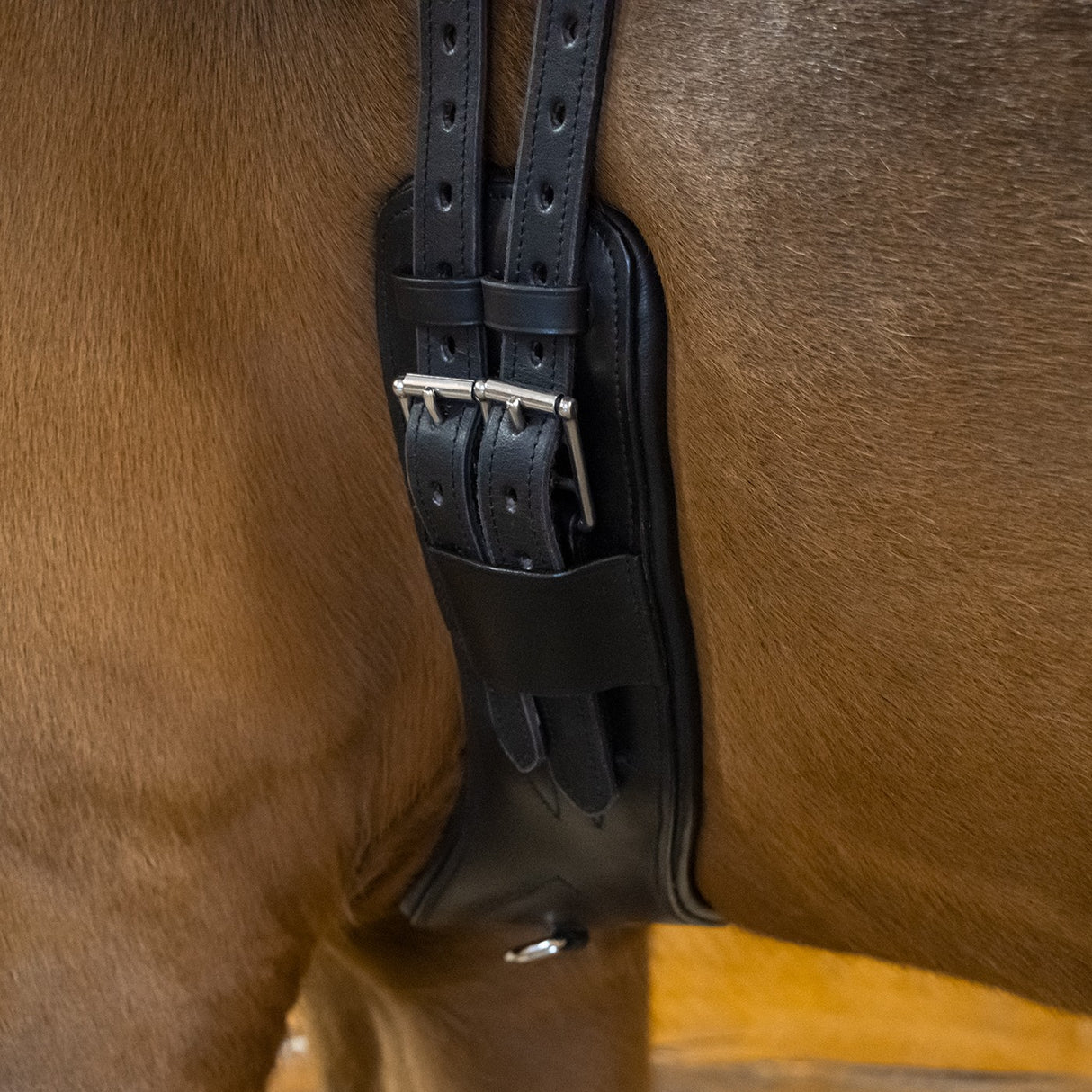 Sangle de Dressage Anatomique Val du Bois