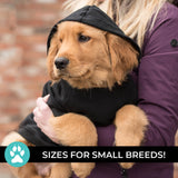 Shedrow K9 Brentwood Dog Hoodie