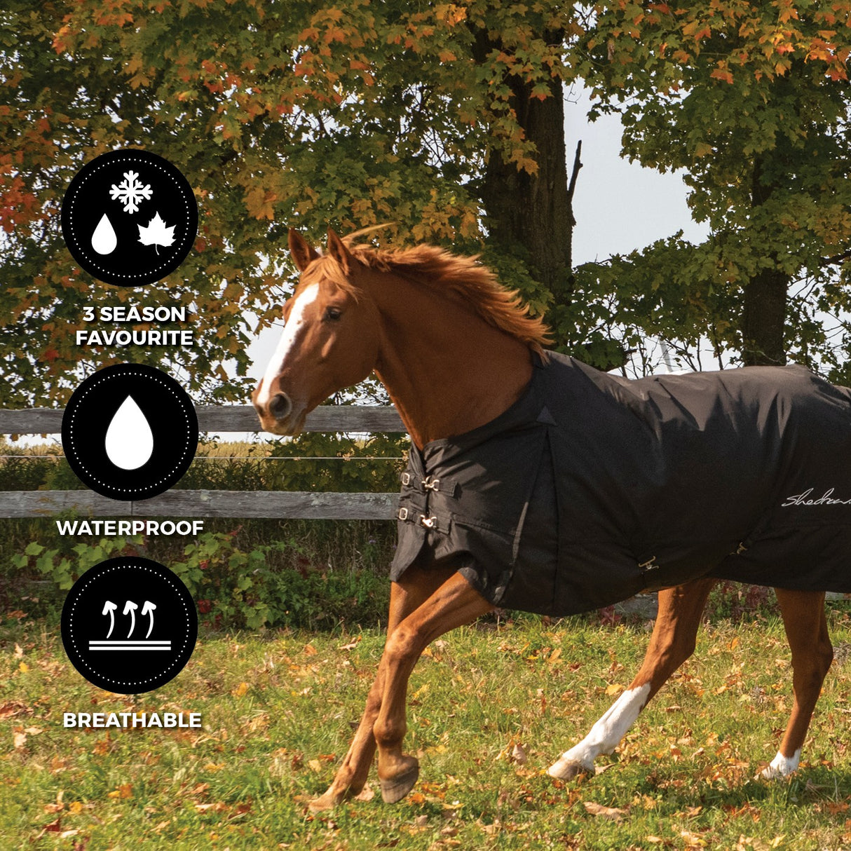 Drap de pluie isolé Shedrow 100 g