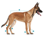 Tapis pour chien de la collection Back on Track Haze