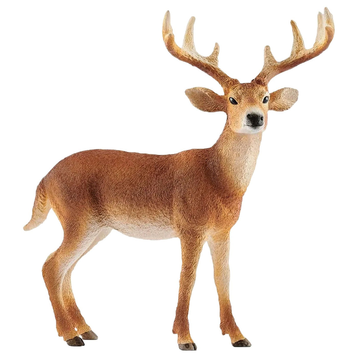 Schleich Wild Life Buck à queue blanche