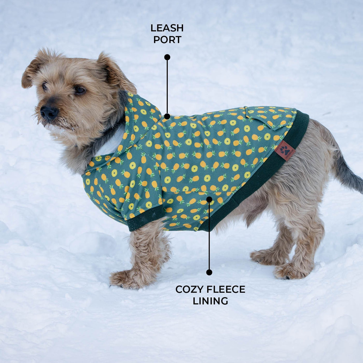Sweat à capuche pour chien Shedrow K9 Canmore