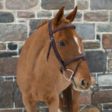 Mondega Doppio Comfort Poll Fancy Stitched Bridle