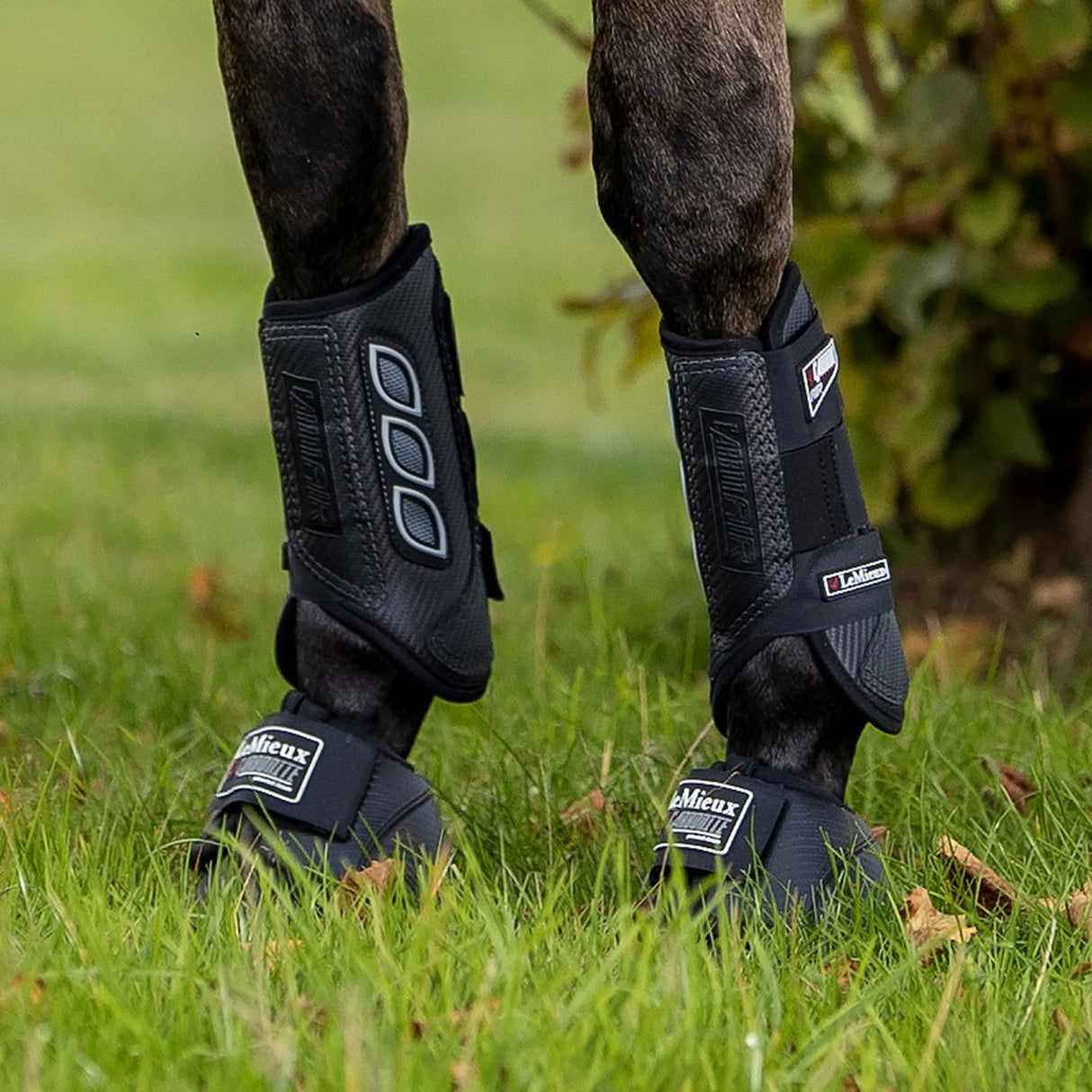 Bottes avant LeMieux Carbon Air XC