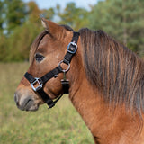 Supra Mini Halter W- Breakaway