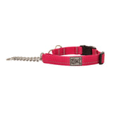 RC Pet Primary Training Clip Collar