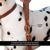 Shedrow K9 Bristol Laisse en cuir torsadé 5 pi.