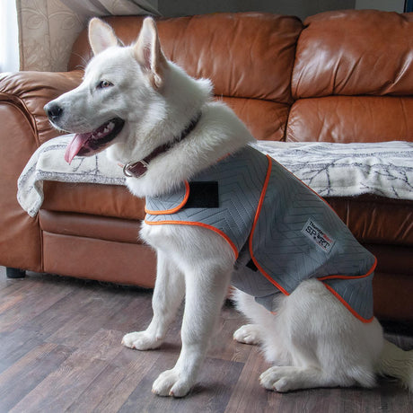 Thundershirt Sport