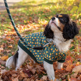 Shedrow K9 Canmore Dog Hoodie