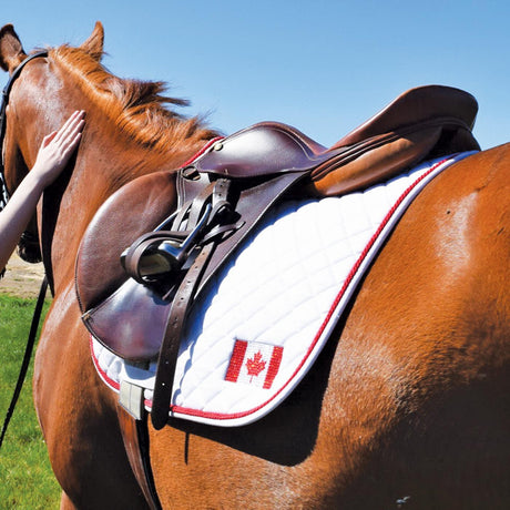 Shedrow Canadian Flag Saddle Pad
