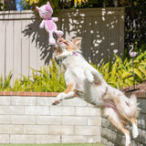 Lulubelles Power Plush Piggie Smalls Dog Toy