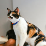 Zee Cat Collar