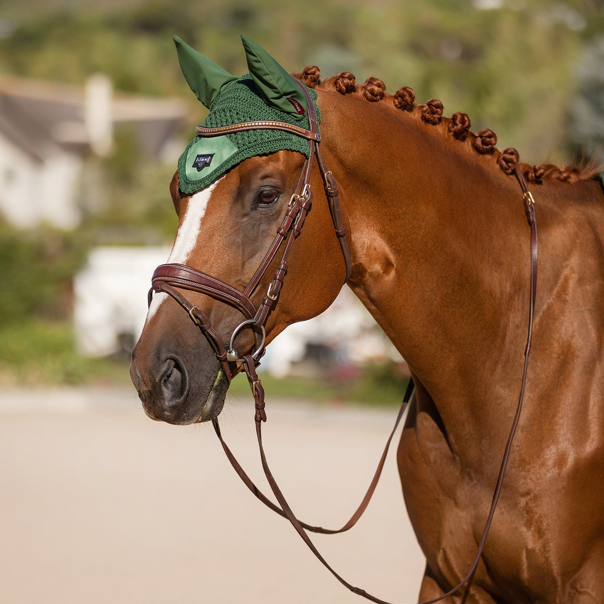 LeMieux Loire Fly Hood