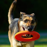 Chuck It Rugged Flyer Dog Toy