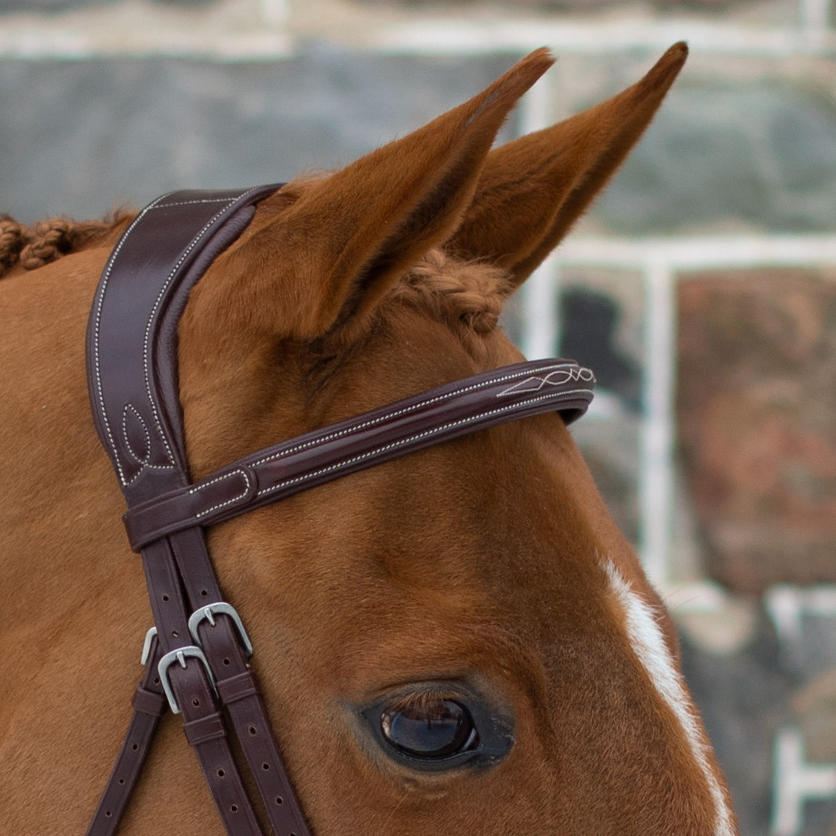 Mondega Doppio Comfort Poll Fancy Stitched Bridle