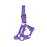 Supra Mini Halter W- Breakaway