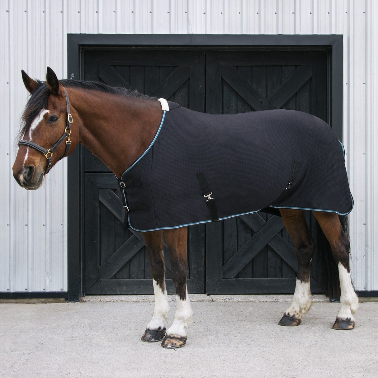 Shedrow Thermawix Cooler
