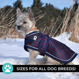 Manteau pour chien Shedrow K9 Glacier