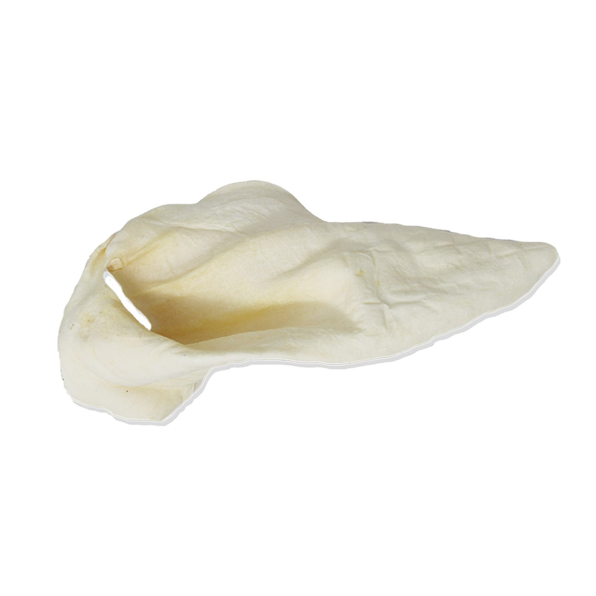 Open Range Cow Ear