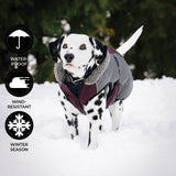 Shedrow K9 Chinook Dog Coat
