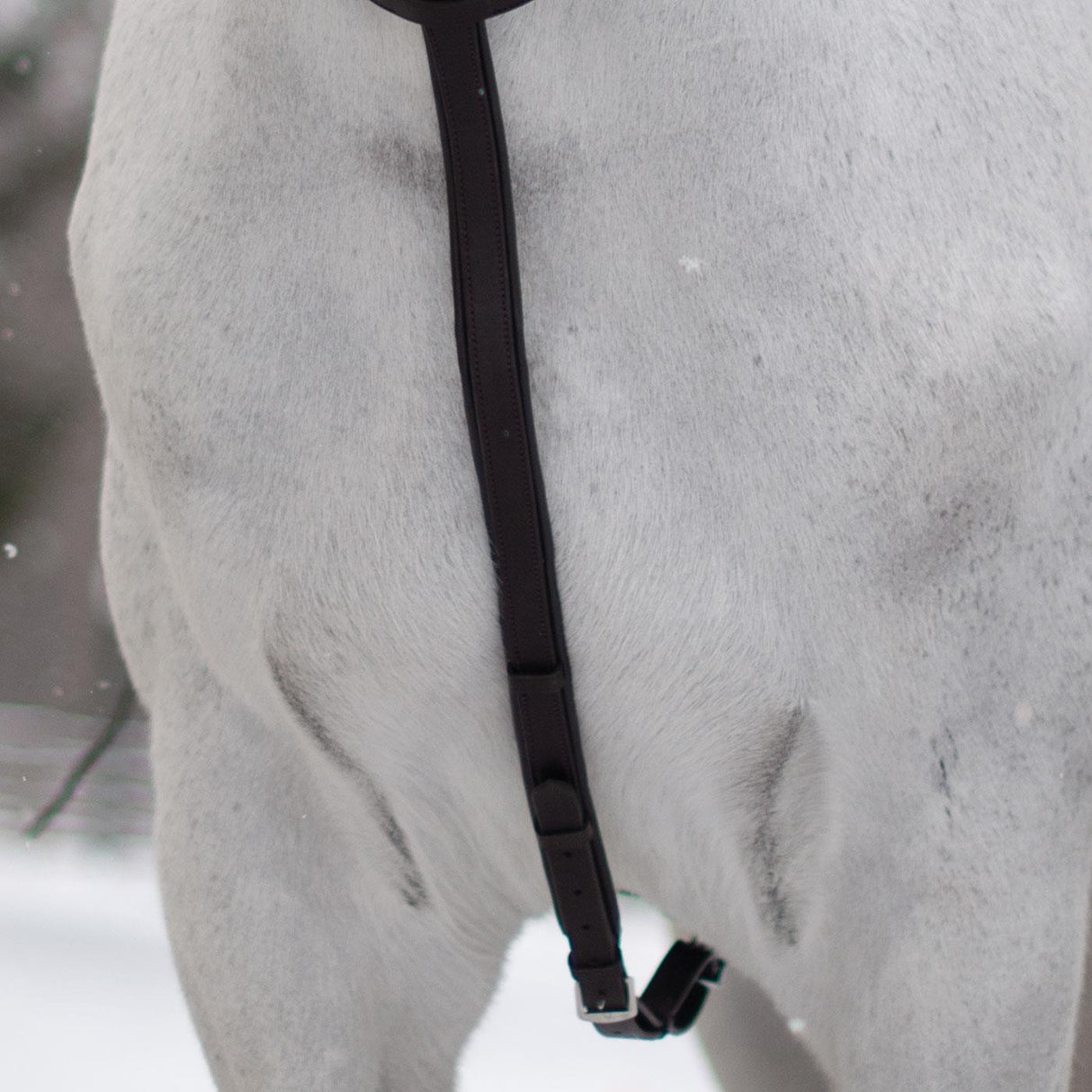 Martingale de course Mondega
