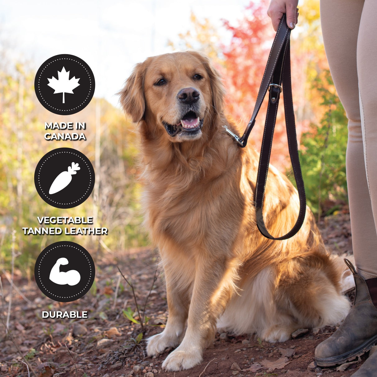 Shedrow K9 Richmond Top Stitch Leather Leash 5 Ft.