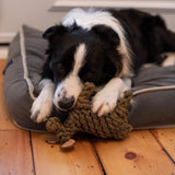 Shedrow K9 Moose Rope Dog Toy