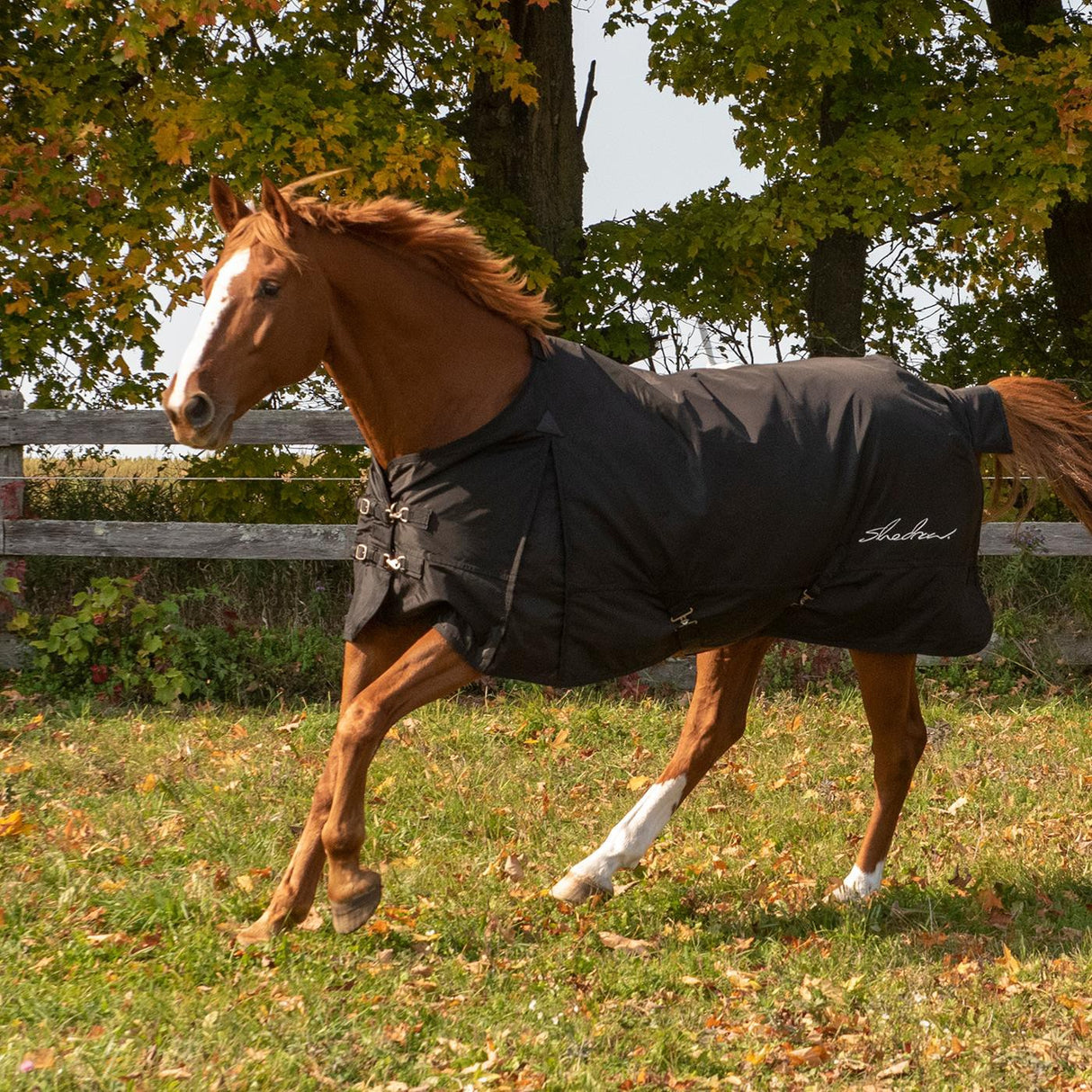 Drap de pluie isolé Shedrow 100 g