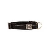 Collier à clip primaire RC Pet