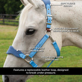 Shedrow Breakaway Halter W - Polaire