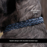 Shedrow K9 Rideau Corde tressée et collier en cuir