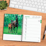 BrownTrout Horse Lovers 2024 Weekly Engagement Calendar