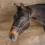 Extreme Two Tone Nylon Halter