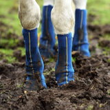 Equilibrium Equi-Chaps Contact étroit