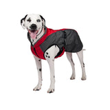 Shedrow K9 Chinook Dog Coat