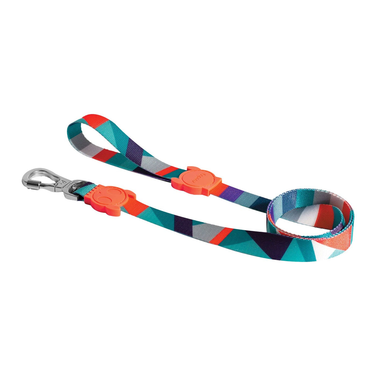 Laisse pour chien Zee 4 pi.