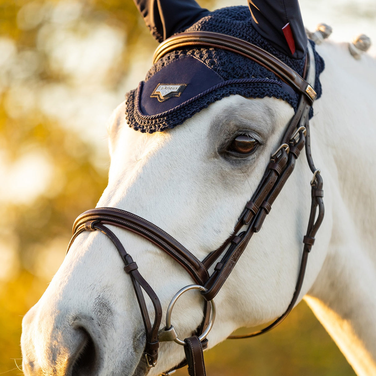 LeMieux Loire Fly Hood