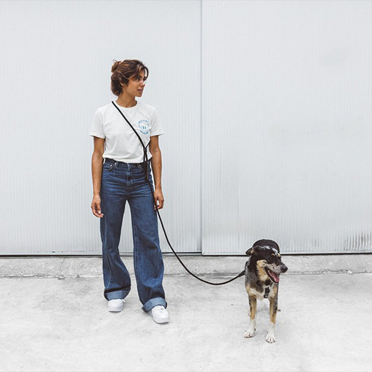 Zee Dog Hands Free Dog Leash
